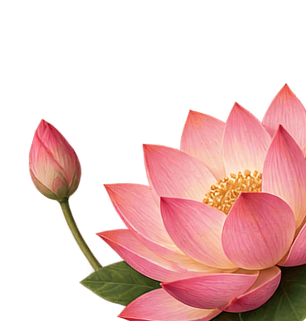 lotus image