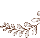 lotus image